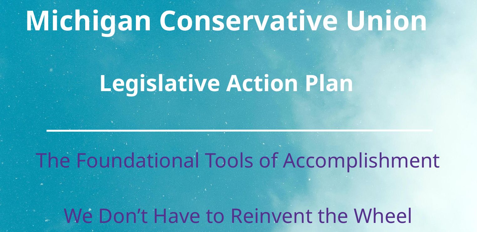Niche Activism – Because We Just Cannot Do It All